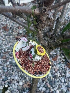Handmade Teacup Bird Feeder